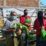 Tim PKM-PM UNHAS Dampingi Istri Supir Angkot Panen Sayuran Hidroponik