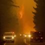 Kebakaran Besar Landa Hutan di California