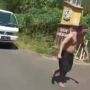 Viral Pria Tarik Mobil Pakai Rambut, Netizen: Pasti Gak Pernah Sampoan