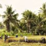 Agar Produktivitas Tidak Terganggu, Kementan Dorong Petani Ikut Program AUTP
