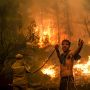 Yunani Dilanda Kebakaran Hutan, Ribuan Warga Terpaksa Mengungsi