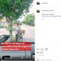 Dagangan Kakek Penjual Pete Diborong Rp 1 Juta, Jawabannya Bikin Sedih