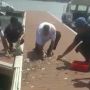 Viral Fenomena Ikan Berlompatan ke Darat di Banyuwangi Bukan Mistis, Begini Penjelasannya