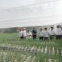 Jababeka Sediakan 2 Hektar Lahan untuk Program Petani Milenial