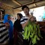 11 Potret Rumah Pengasuh Rafathar di Kampung, Masih Tradisional Bergaya Panggung