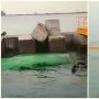 Viral Video Detik-Detik Truk Terjun ke Laut di Pelabuhan Merak
