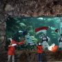 Ancol Bakal Siarkan Upacara Pengibaran Bendera Dalam Air di YouTube, Ini Linknya!
