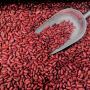 5 Manfaat Kacang Merah bagi Kesehatan