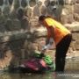 Tak Sudi Diputusin, Cewek Tewas Setengah Bugil di Kali Cikeas Ternyata Dibunuh Mantan Pacar