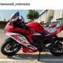 Diam-diam Kawasaki Siapkan Versi Naked Bike dari ZX-25R?
