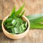 Tak Hanya Mengharumkan Makanan, Ini 7 Manfaat Daun Pandan bagi Kesehatan