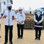 Presiden Jokowi Instruksikan Mentan Seriusi Porang Sebagai Komoditas Andalan Ekspor
