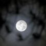 Mengenal Fenomena Blue Moon yang Diperkirakan akan Terjadi Pada 22 Agustus 2021