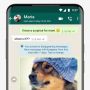 Gampang Banget, Begini Cara Memindahkan Akun WhatsApp ke Hp Baru