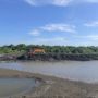 Mangrove Dirusak di Pesisir Pinrang, WALHI Sulsel Minta Pemerintah Bertindak