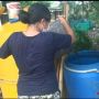 Ibu-ibu Kampung Muka Ancol Cari Uang Dari Hasil Sampah Dapur