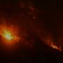 Kebakaran Hutan di Situbondo