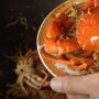 6 Makanan Khas Kalimantan yang Nagih Banget, Ada Mie Kepiting sampai Bubur Pedas