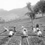 Kenapa Belanda Baru Mengakui Kemerdekaan RI 17 Agustus 1945 Hari Ini?