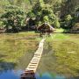 Dear Wisatawan, Wajib Dikunjungi Wisata Hutan Pinus Bogor, Dijamin Betah Deh