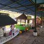 Hunting Kuliner Lezat  Sambil Nikmati Sejuknya Udara Lembang