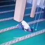 Viral Jemaah Salat Maghrib Wafat Saat Sujud, Warganet: Ya Allah, Aku Mau Kayak Gitu
