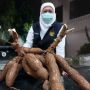 Usai Nanas, Khofifah Pamer Singkong Mentega Asal Malang: Teman Sempurna Menikmati Kopi