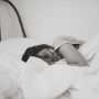 5 Fakta Unik dan Menarik dari Mimpi, Selain Sebagai Bunga Tidur