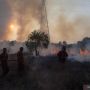 900 Hektar Lahan di Sumsel Terbakar Selama Empat Bulan Terakhir