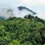Misteri Hilangnya Anjing Pemburu Babi Hutan di Hutan Gunung Sawal Ciamis Bikin Geger Warga