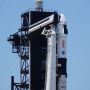 SpaceX Luncurkan Semut hingga Monyet Laut ke Luar Angkasa