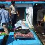 Miris! DFW Banyak Terima Laporan 'Kerja Paksa' ABK Indonesia di Kapal Asing, Pemerintah Diminta Tegas