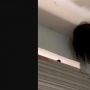 Heboh Kepala Bocah Perempuan Nyangkut di Lubang Kipas Angin, Videonya Viral