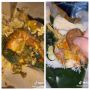Viral, TikToker Bandingkan Nasi Padang Rp10 Ribu dengan yang Harganya Tujuh Kali Lipat