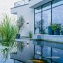 Ingin Membuat Kolam Ikan di Rumah? Ini 6 Hal yang Perlu Diperhatikan!