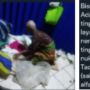 Jual Kisah Sedih Nenek Tunawisma di Media Sosial, Akun Ini Diduga Gelapkan Donasi