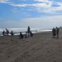 Pelaku Wisata di Pantai Selatan: Pengunjung Berkurang karena Aturan Ganjil Genap