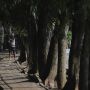 Undang 6.000 Orang ke Nikahan Anaknya di Setu Babakan, Legislator Gerindra Bantah Sampai Tutup Jalan