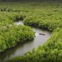 Polisi Tetapkan Tersangka Insiden 2 Fotografer Tewas di Wisata Mangrove