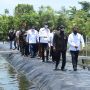 Tambak Udang KKP di Aceh Timur Ciptakan Multiplier Effect