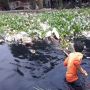 Pabrik Pembuang Limbah Hitam ke Kali Cilemahabang Bekasi Akan Kena UU Lingkungan Hidup