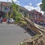 Ini Jenis Bencana yang Sering Terjadi di Bandar Lampung selama 2021
