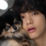 Si Manis Kesayangan V BTS, Hari Ulang Tahun Yeontan Viral di Twitter
