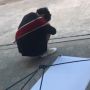 Tak Ada Teman yang Datang Usai Sidang Skripsi, Mahasiswa Ini Nangis