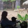 Harga Tiket Jatim Park 2 dan Info Penjualannya Selama Libur Natal dan Tahun Baru 2024