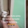 Viral Wanita Buka Pintu Rumah Disambut Banjir Bandang dan 4 Berita Viral Lainnya
