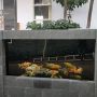 Viral Penampakan Pagar Rumah dari Kolam Ikan Koi, Publik: Kreatif Banget
