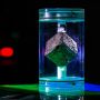 Ilmuwan Berburu 600 Kubus Uranium Nazi Hilang di Amerika