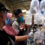 Berburu Ikan Hias di Pasar Ikan Parung Bogor