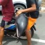 Miris! Viral Video Pemuda Bawa Lumba-lumba Boncengan Naik Motor, Tuai Hujatan Massal